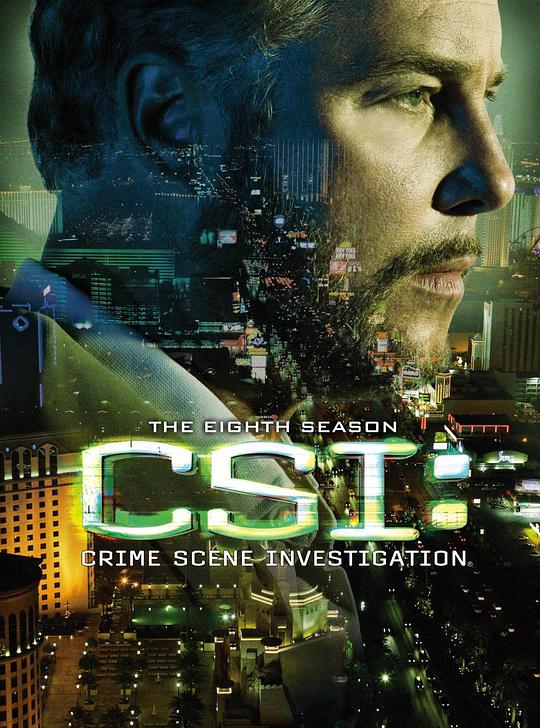 CSI シーズン 8