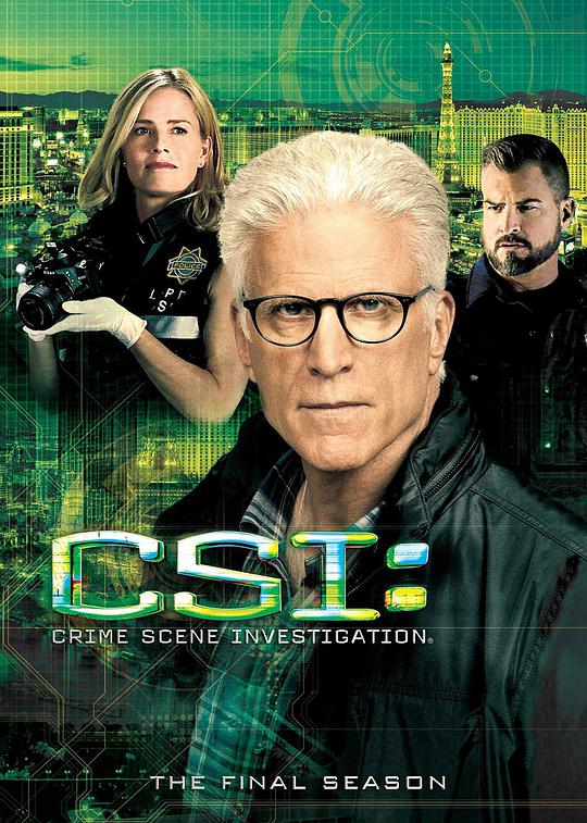 CSI シーズン 15