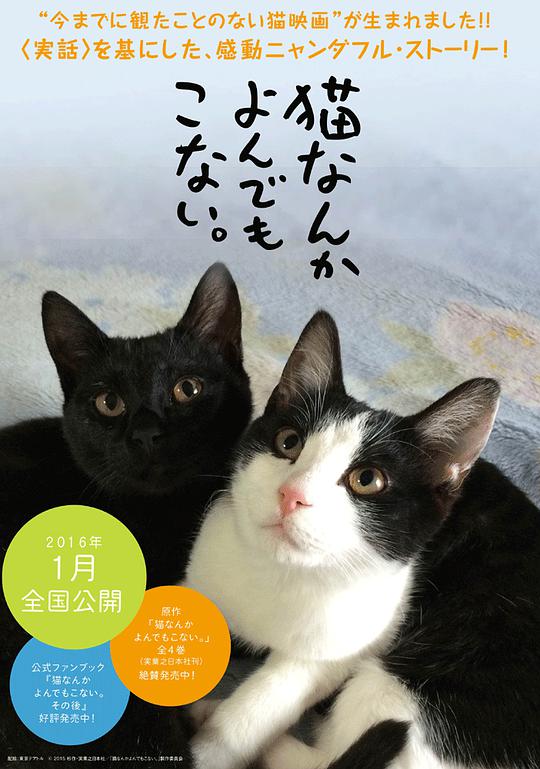 なぜ猫は鳴かないのでしょうか？