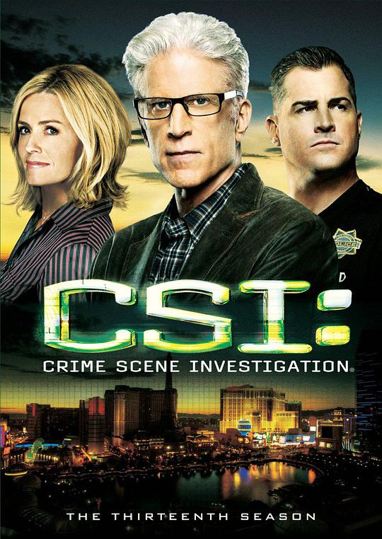 CSI シーズン 13